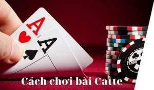Hướng Dẫn Chinh Phục Cách Chơi Sắc Tê Nhà Cái Xin88 Thắng Khủng 4 Hướng Dẫn Chinh Phục Cách Chơi Sắc Tê Nhà Cái Xin88 Thắng Khủng